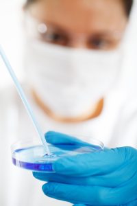 Noticias biology, research, laboratory, science, medical, lab, scientist, scientific, precision, medicine, experiment, doctor, liquid, petri dish, microbiology, biotechnology, person, people, job, examine, research, research, laboratory, laboratory, science, science, science, science, science, medical, lab, lab, scientist, scientist, experiment, doctor, doctor, petri dish