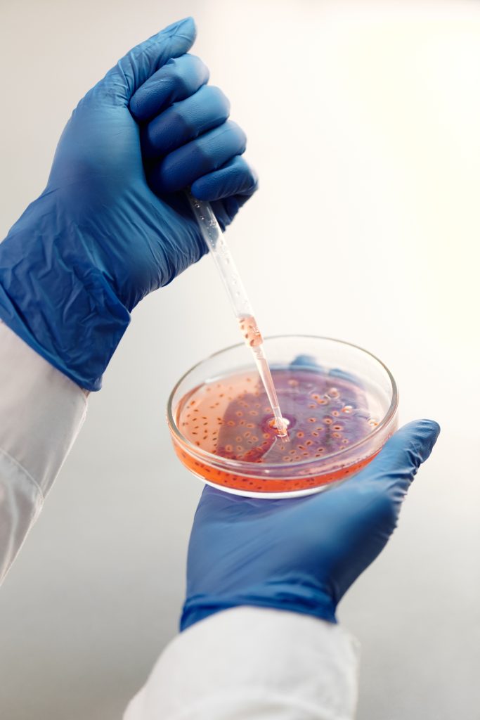 Inicio Researcher uses pipette in a petri dish filled with experimental specimen.